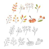 Set of abstract autumn leaves and berries. Black and white and color clipart vector illustration.