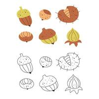 Set of abstract nuts and physalis. Black and white and color clipart vector illustration.