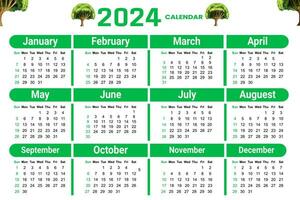 Calendar 2024 Simple Minimal Design Week Starts Frrom Sunday Happy New Year Planne vector