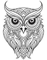 Owl bird coloring book for adults vector, digital mandala illustration of owl, white background, clean line art, tattoo and print design vector
