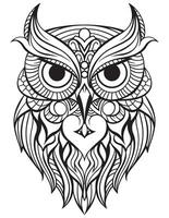 Owl bird coloring book for adults vector, digital mandala illustration of owl, white background, clean line art, tattoo and print design vector