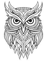 búho pájaro colorante libro para adultos vector, digital mandala ilustración de búho, blanco fondo, limpiar línea arte, tatuaje y impresión diseño vector