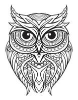 Owl bird coloring book for adults vector, digital mandala illustration of owl, white background, clean line art, tattoo and print design vector