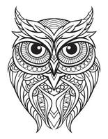 Owl bird coloring book for adults vector, digital mandala illustration of owl, white background, clean line art, tattoo and print design vector