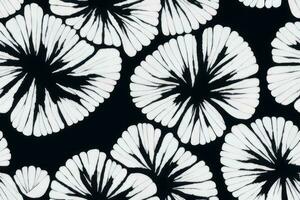 Beautiful ornamental summer vector endless botanical fashion colorful drawing seamless trendy endless illustration stripe ornamentethnicity textile garden ogee , bloom white floral on black paper