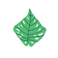 mockster leaf in flat style. hand drawn vector illustration