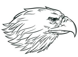 Sketch Eagle Head Side View Profile vector