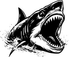 Shark - High Quality Vector Logo - Vector illustration ideal for T-shirt graphic