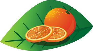 naranja pomelo limón aislar vector