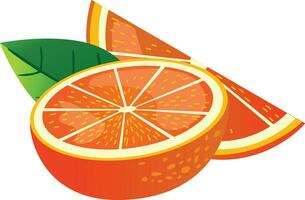 naranja pomelo limón aislar vector