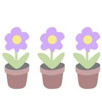three purple flowers in pots on a white background vector