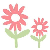 pink flowers are shown in a white background vector