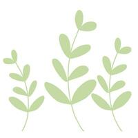 green leaves on a white background vector