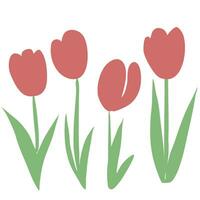 tulips are shown in a row vector