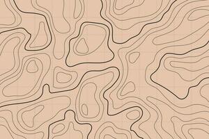 Topographic map background concept. Abstract background with landscape topographic map design. vector