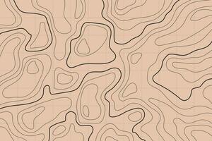 Topographic map background concept. Abstract background with landscape topographic map design. vector