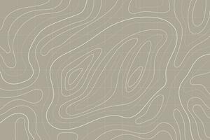 Topographic map background concept. Abstract background with landscape topographic map design. vector