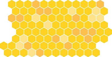 honeycomb tiles, color variation modular background vector