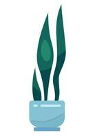 Decorative house plant semi flat colour vector object. Sansevieria in pot. Editable cartoon clip art icon on white background. Simple spot illustration for web graphic design