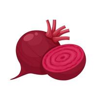 Vector illustration, whole and halved beetroot, isolated on white background.