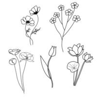 Wildflower Collection Set Image Vector