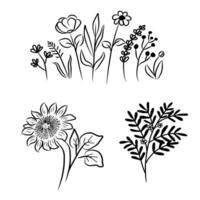 flores silvestres mano dibujo y bosquejo negro y blanco vector