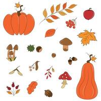 Cute set of autumn clipart plants and leaves vector