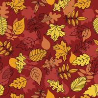 Autumn pattern, set of leaves, maple leaf, rowan leaf, oak leaf. Doodle, drawings, sketch. Autumn season. Contour vector illustration, seamless texture. Background white isolated background.