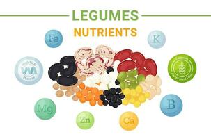 Legumes with high nutritional value banner concept. Fermented fiber, protein, vitamin B, K, Ca, Mg, Fe, Zn. vector