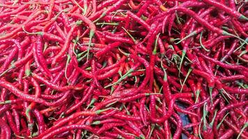 pile of chilies on market photo