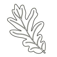 Vector image silhouette of a realistic shape of oak leave. Seasonal decorative background