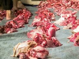 Beef is being weighed before being distributed photo