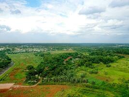 view of green trees with clear sky photo