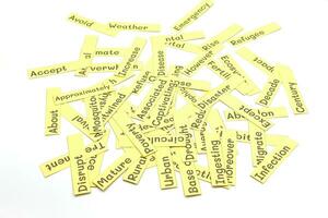English vocabulary cards on white photo