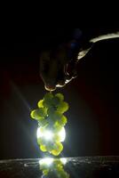 portrait A hand holding green grapes in the air with optical flair light background. photo