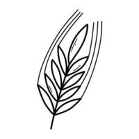 Spikelet of wheat in doodle style. Vector illustration. Linear ear of wheat.