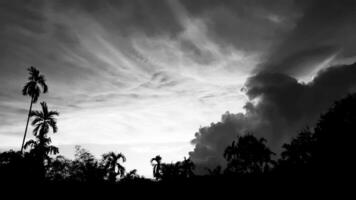 beautiful landscape with saw mountains, betel palm coconut trees, black and white sky vintage concept. photo