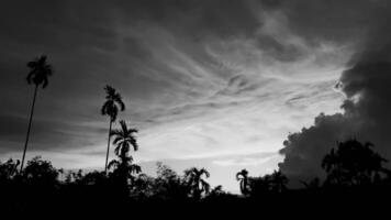 hermosa paisaje con Sierra montañas, betel palma Coco árboles, negro y blanco cielo Clásico concepto. foto