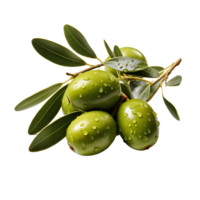 Olive, Olive Png, Olive With Transparent Background AI Generative png