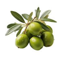 aceituna, aceituna png, aceituna con transparente antecedentes ai generativo png