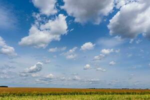 blue sky background with white striped clouds in heaven and infinity may use for sky replacement photo