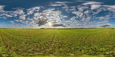 spherical 360 hdri panorama among green grass farming field with clouds on blue evening sun in equirectangular seamless projection, use as sky dome replacement, game development as skybox, VR content photo