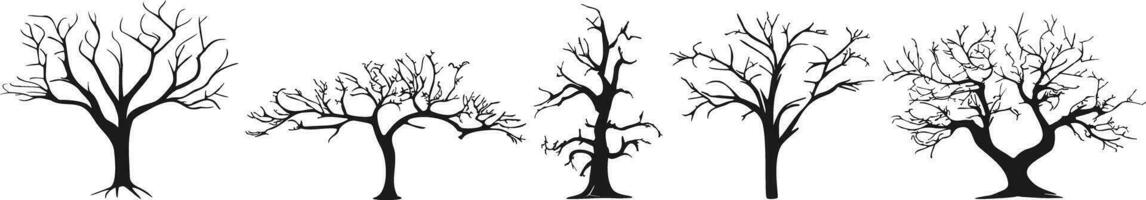 Tree silhouette. Collection of black contours of trees without leaves. Various trees in different positions. Forest set in flat style. Vector illustration.