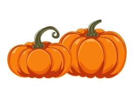 Two autumn orange pumpkins in cartoon style. Design element for Halloween, Thanksgiving, harvest festival. Pumpkin diet vegetable. Vector illustration.