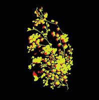 A yellow and red plant vector