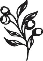 Branch with berries vector graphics. Berries line art. Vector Blueberry black and white engraved ink art