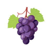 grape clipart illustration with branch and leaf ai generative image png