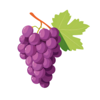grape clipart illustration with branch and leaf ai generative image png