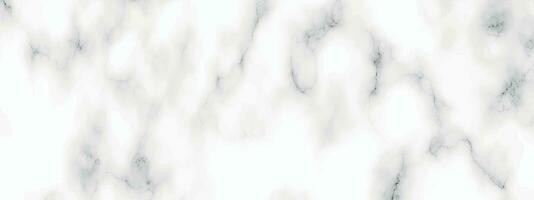 blanco panorama mármol textura. resumen ligero elegante blanco para piso cerámico mostrador textura Roca losa suave loseta gris plata natural. vector