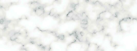 mármol granito blanco panorama antecedentes. resumen ligero elegante negro hacer piso, cerámico textura Roca losa. mármol vector textura antecedentes con alto resolución.